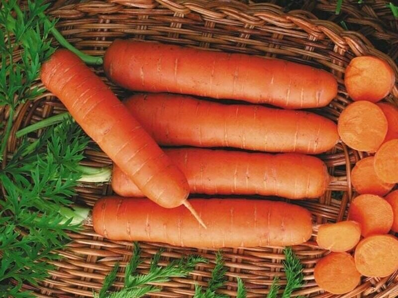 Семена моркови  Деликатесная 3г